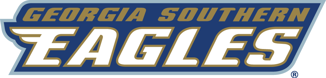 Georgia Southern Eagles 2004-Pres Wordmark Logo t shirts iron on transfers v2